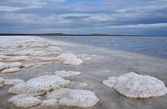 Тур на 3 дня Астрахань – Баскунчак – Осетровая ферма Апрель, Сентябрь 2026