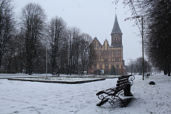 Рождественский тур на 4 дня 04-07.01.2026 Калининград — Зеленоград — Светлогорск — Янтарный — Куршская коса