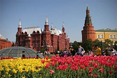 Эконом-туры в Москву на майские праздники 