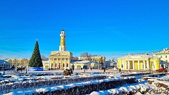Новогодний тур на 2 дня Кострома. Январь 2027