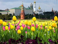 Эконом тур в Москву на майские праздники от 2 до 7 дней 