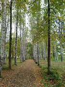 Тур на 2 дня Палех-Шуя-Иваново