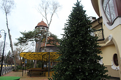 Рождественский тур на 5 дней 03-07.01.2026 Калининград — Зеленоград — Светлогорск — Янтарный — Куршская коса