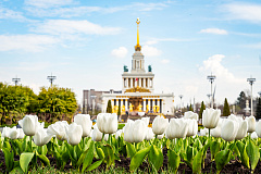 Ежедневный сборный тур в Москву «Я шагаю по Москве» (эконом)