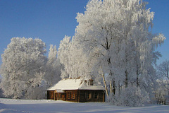 Тур на 2 дня Пенза – Тарханы (с балом) 03-04.01, 08-09.01.2026