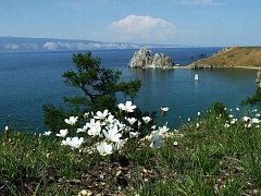  Тур на Байкал на 8 дней Иркутск — поселок Листвянка — остров Ольхон — курорт Аршан. Лето 2022г.